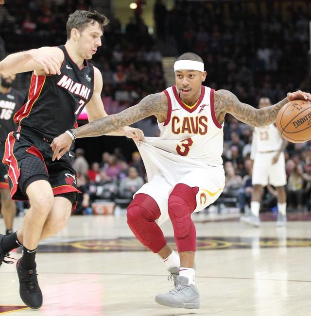 种对家族名 种对家族名