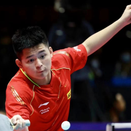 足球领域的 足球领域的